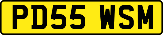 PD55WSM