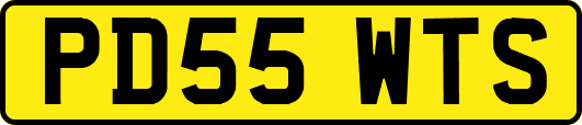 PD55WTS