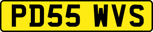 PD55WVS