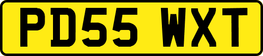 PD55WXT