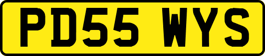 PD55WYS