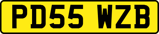 PD55WZB
