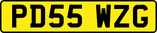 PD55WZG