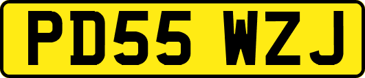 PD55WZJ