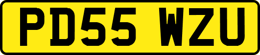 PD55WZU