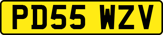 PD55WZV