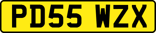 PD55WZX
