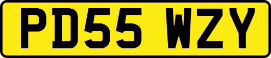 PD55WZY