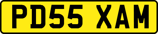 PD55XAM