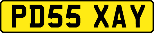 PD55XAY