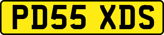 PD55XDS