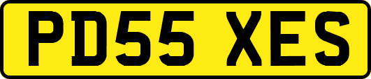 PD55XES