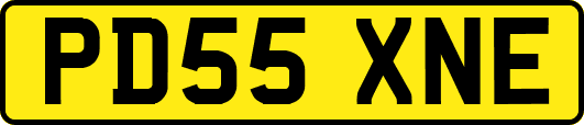 PD55XNE