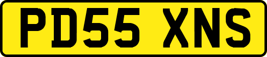PD55XNS