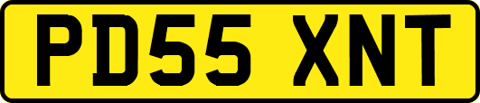 PD55XNT