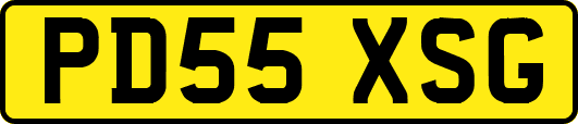 PD55XSG