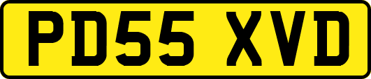 PD55XVD
