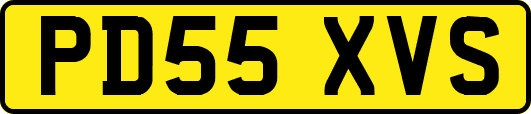 PD55XVS
