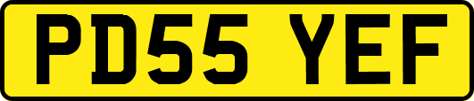 PD55YEF