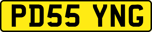 PD55YNG