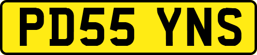 PD55YNS