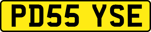 PD55YSE