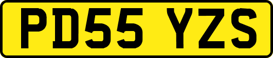 PD55YZS
