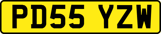 PD55YZW