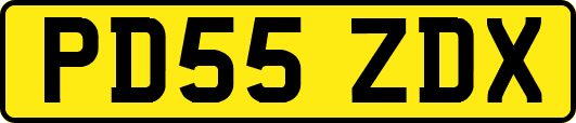 PD55ZDX