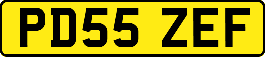 PD55ZEF