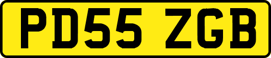 PD55ZGB