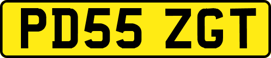 PD55ZGT