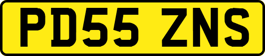 PD55ZNS