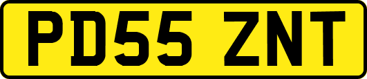 PD55ZNT
