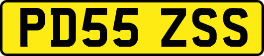 PD55ZSS