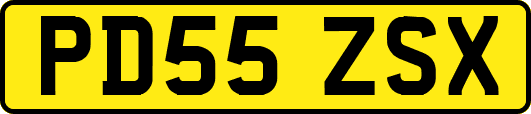 PD55ZSX