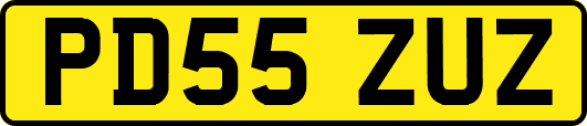 PD55ZUZ