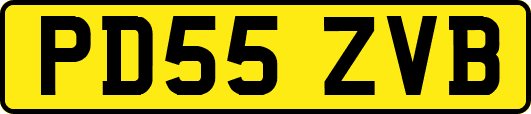 PD55ZVB
