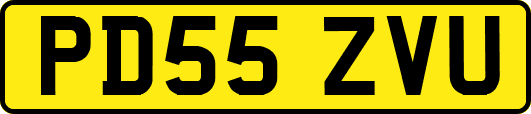 PD55ZVU