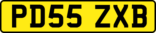 PD55ZXB