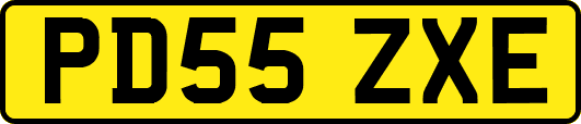 PD55ZXE