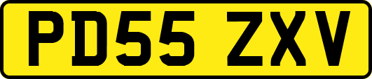 PD55ZXV