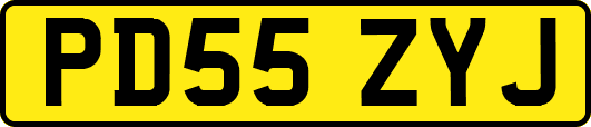 PD55ZYJ