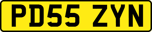 PD55ZYN