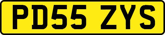 PD55ZYS