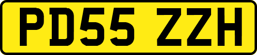PD55ZZH