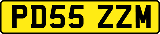 PD55ZZM