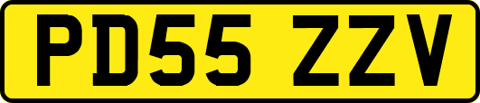 PD55ZZV