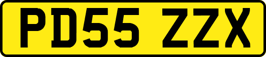 PD55ZZX