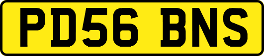 PD56BNS